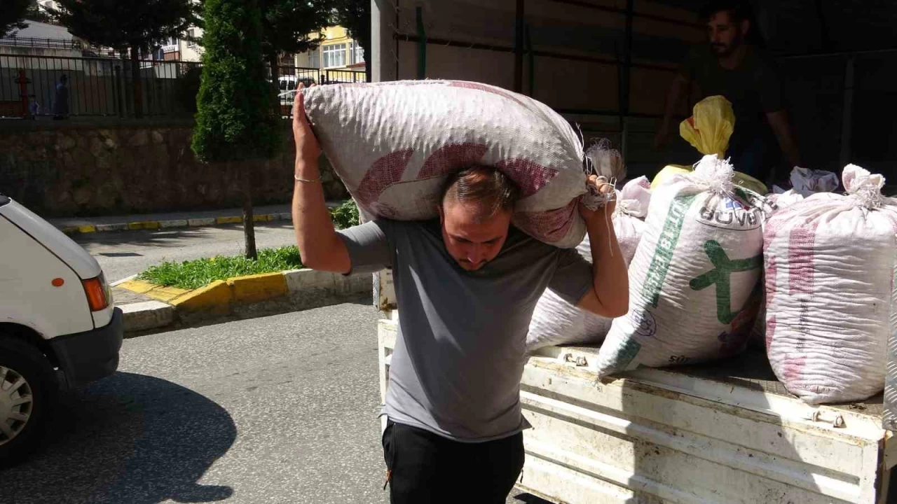 Fındık Fiyatları Yeni Haftaya Düşüşle Girdi Üreticiler Endişeli