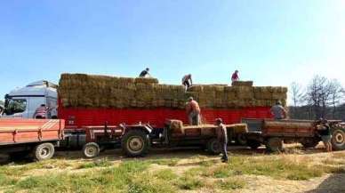 Kocaeli’den Çanakkale’deki yangın mağduru çiftçilere destek