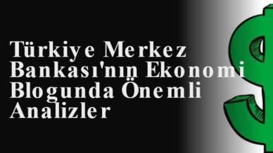 Türkiye Merkez Bankası'nın Ekonomi Blogunda Önemli Analizler