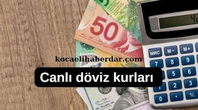 Son Dakika Döviz Kurları 07/03/2024