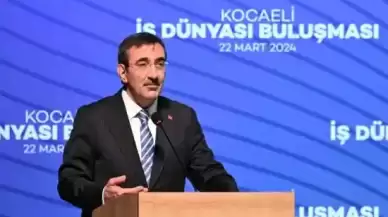 Cumhurbaşkanı Yardımcısı Yılmaz: "Dövize Erişimde Problemimiz Yok, Döviz ihtiyacımız Da Azalmış Durumda"