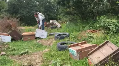 Körfez'de Arı Kovanlarına Saldırı... 100 Bin TL Zarar