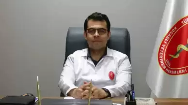 Kocaeli'de Kene Riski... Yüksek Rakımlı Bölgelerde Dikkatli Olun