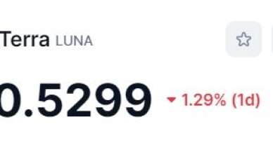  LUNA Coin Geleceği: Uzmanlar Ne Diyor?