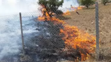 Bolu'da 4 Tarla ve 1 Mezarlık Kül Oldu