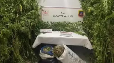 Sakarya'da Jandarma Uyuşturucuya Geçit Vermiyor