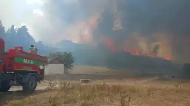 Ankara’da başlayan yangın Bolu’ya sıçradı