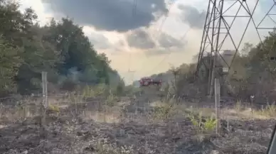 Sakarya’da Boş Arazide Yangın