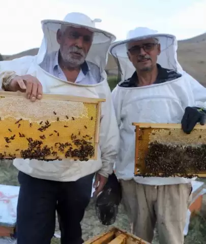 Ağrı’da Emekli Polis ve Abisinin Hobi Olarak Başladığı Arıcılıkta 7 Ton Bal Üretildi