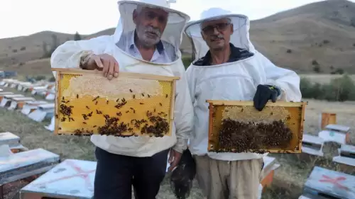 Ağrı’da Emekli Polis ve Abisinin Hobi Olarak Başladığı Arıcılıkta 7 Ton Bal Üretildi