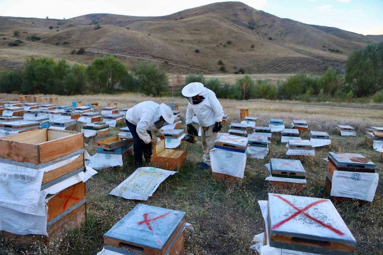 ariciliga-hobi-olarak-baslayan-emekli-polis-memuru-ve-abisi-7-ton-bal-uretti